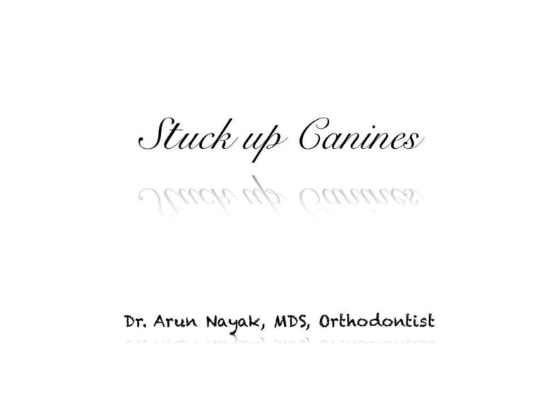 Stuck up Canines